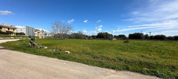 Земельный участок 3365м² в Лиццано, Италия № 69503 8