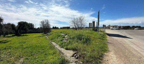 Земельный участок 3365м² в Лиццано, Италия № 69503 6