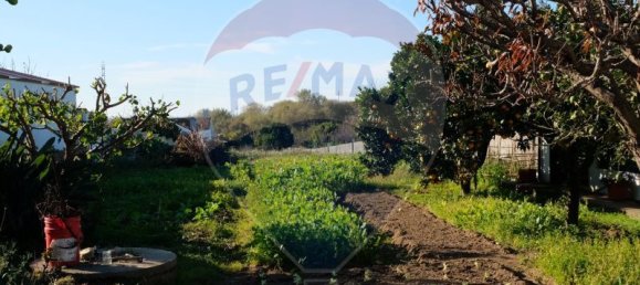 5 غرف نوم منزل في Anta, Portugal رقم 22298 42