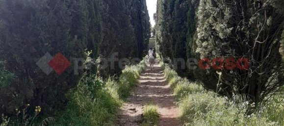 12 rooms Villa in Uzzano, Italy No. 175680 5