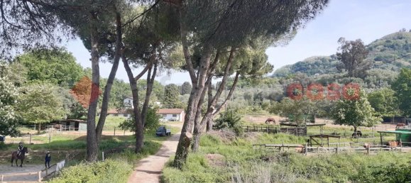 12 rooms Villa in Uzzano, Italy No. 175680 2