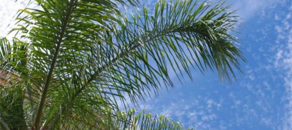 3 chambres Appartement à Mijas, Spain No. 145278 12