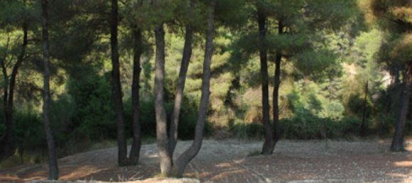 Villa de 1 dormitorio en Chalkidiki, Greece No. 1182 15