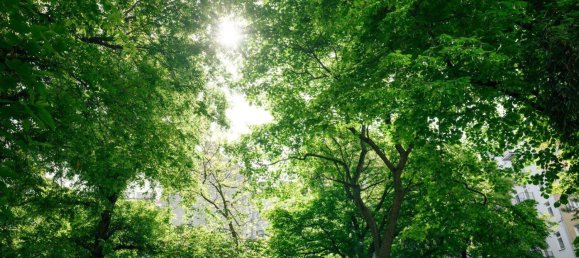 6 rooms Townhouse in Vienna, Austria No. 174848 5