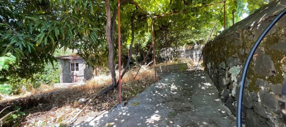 4 Schlafzimmer Haus in Calheta, Portugal, Nr. 268013 25