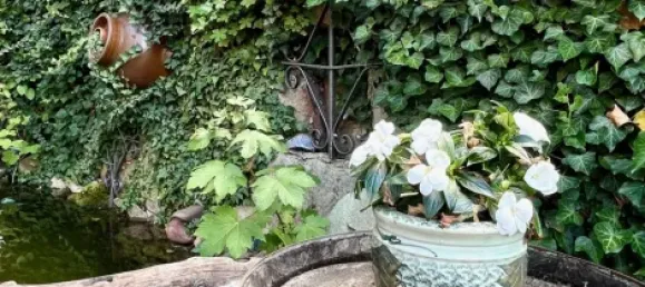 9-Zimmer Stadthaus in Dresden, Germany, Nr. 60574 14