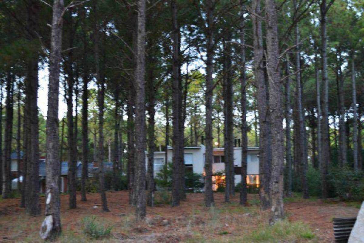 Grundstück in Mar del Plata, Argentina, Nr. 111077