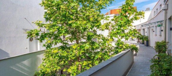 4 rooms Apartment in Modling, Austria No. 181814 28