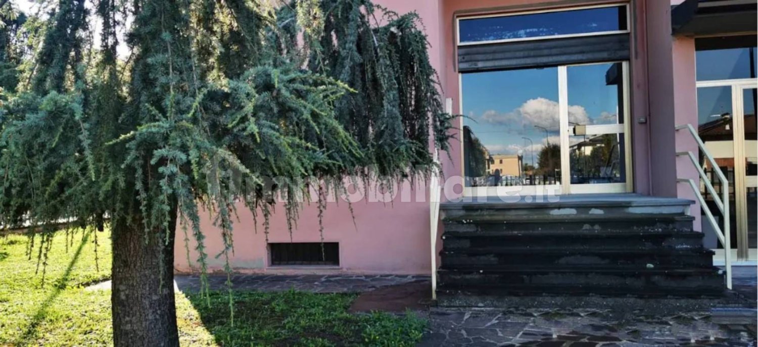 5 rooms Commercial property in San Giorgio Piacentino, Italy No. 173496