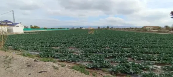  قطعة أرض في Puerto Lumbreras, Spain رقم 173612 20