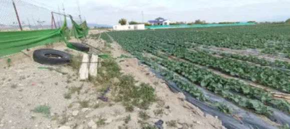  قطعة أرض في Puerto Lumbreras, Spain رقم 173612 14