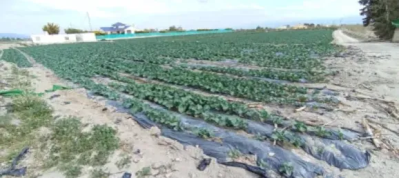  قطعة أرض في Puerto Lumbreras, Spain رقم 173612 13