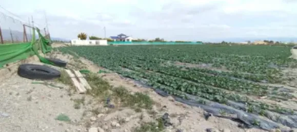  قطعة أرض في Puerto Lumbreras, Spain رقم 173612 28