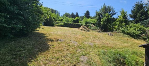 Terrain à Eichgraben, Austria No. 253971 3