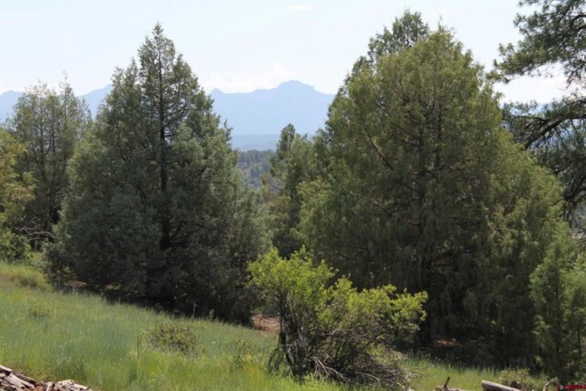  Land in Pagosa Springs, USA No. 541037
