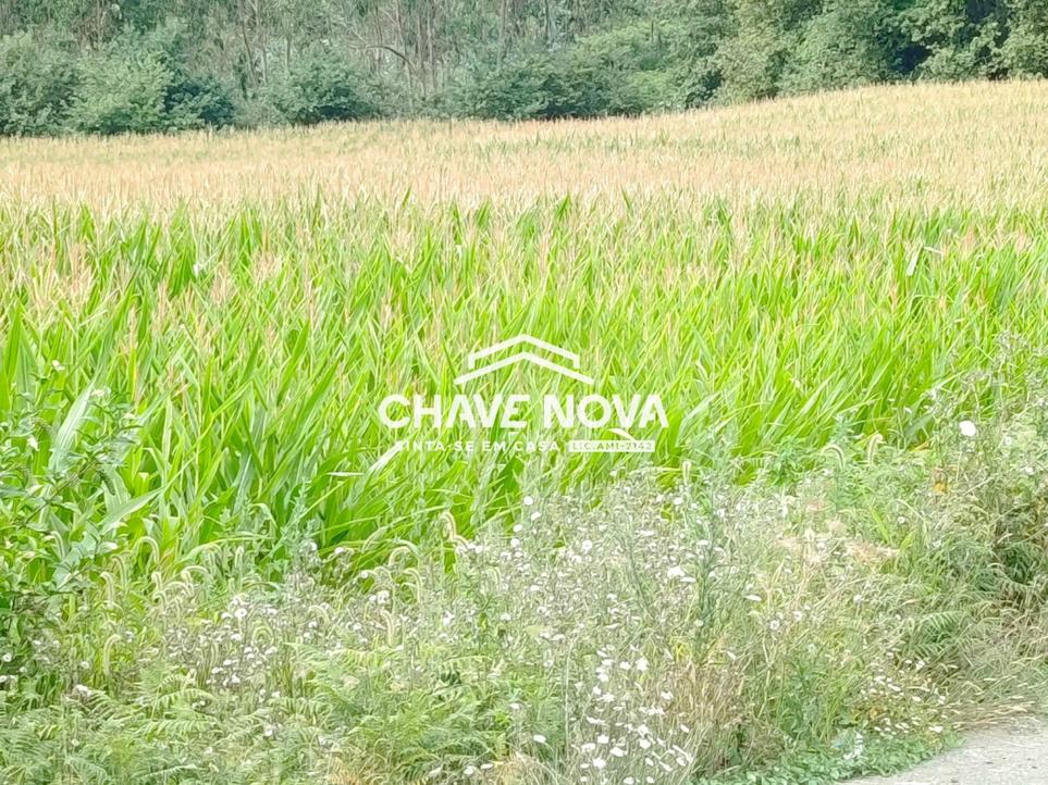 10024m² Land in Santa Maria da Feira, Portugal No. 272200