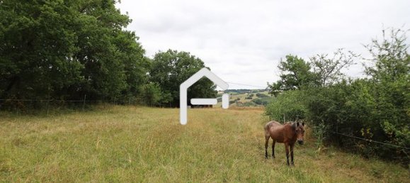 4 غرف نوم منزل في Occitanie, France رقم 284626 9