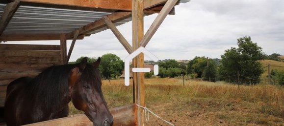 4 غرف نوم منزل في Occitanie, France رقم 284626 12