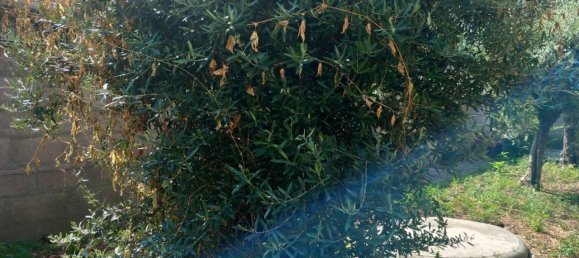 10 rooms House in Florence, Italy No. 18623 26