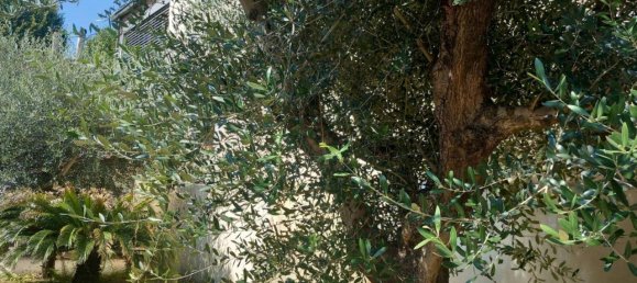 10 rooms House in Florence, Italy No. 18623 25