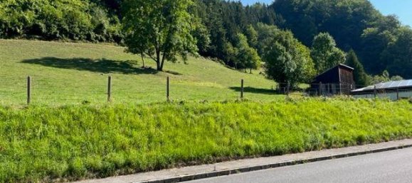 Terreno em Losenstein, Austria 2224 m² N.º 167226 4