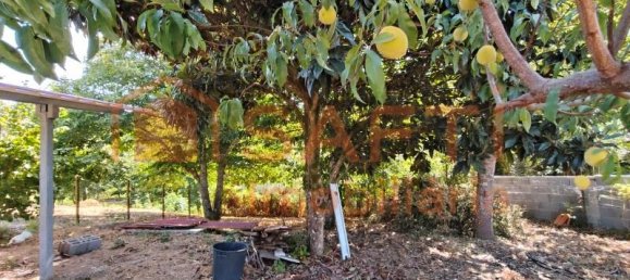 3 Schlafzimmer Haus in Alvaiazere, Portugal, Nr. 247716 46