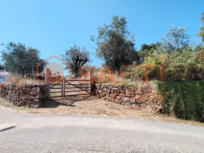 3 bedrooms House in Alvaiazere, Portugal No. 247716