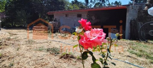 3 Schlafzimmer Haus in Alvaiazere, Portugal, Nr. 247716 24