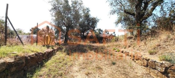 3 Schlafzimmer Haus in Alvaiazere, Portugal, Nr. 247716 3