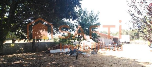 3 Schlafzimmer Haus in Alvaiazere, Portugal, Nr. 247716 47