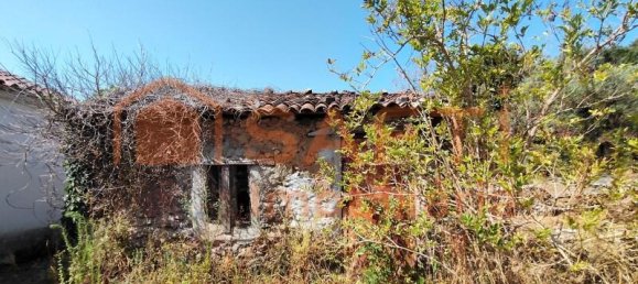 3 Schlafzimmer Haus in Alvaiazere, Portugal, Nr. 247716 50