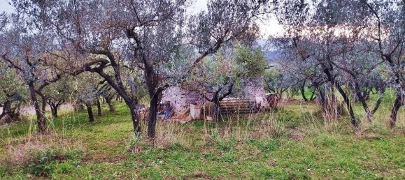 1500m² Land in Piglio, Italy No. 125118 7