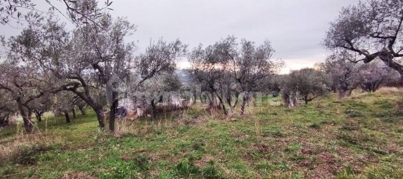 1500m² Land in Piglio, Italy No. 125118 5