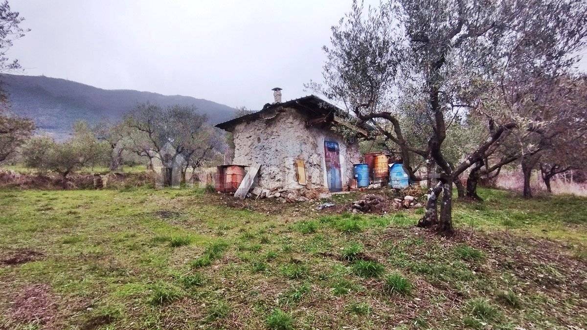 1500m² Land in Piglio, Italy No. 125118