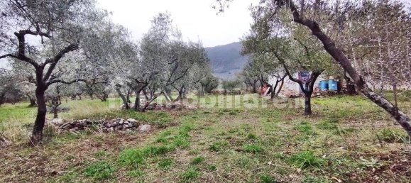 1500m² Land in Piglio, Italy No. 125118 6