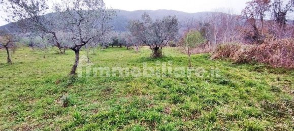 1500m² Land in Piglio, Italy No. 125118 3