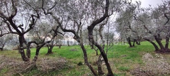 1500m² Land in Piglio, Italy No. 125118 4