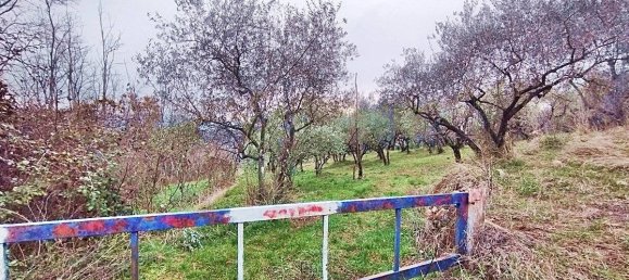 1500m² Land in Piglio, Italy No. 125118 2