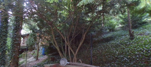 Grundstück in Sächsische Schweiz-Osterzgebirge, Germany, Nr. 368191 9