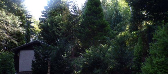 Grundstück in Sächsische Schweiz-Osterzgebirge, Germany, Nr. 368191 17