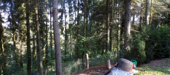 Grundstück in Sächsische Schweiz-Osterzgebirge, Germany, Nr. 368191 16