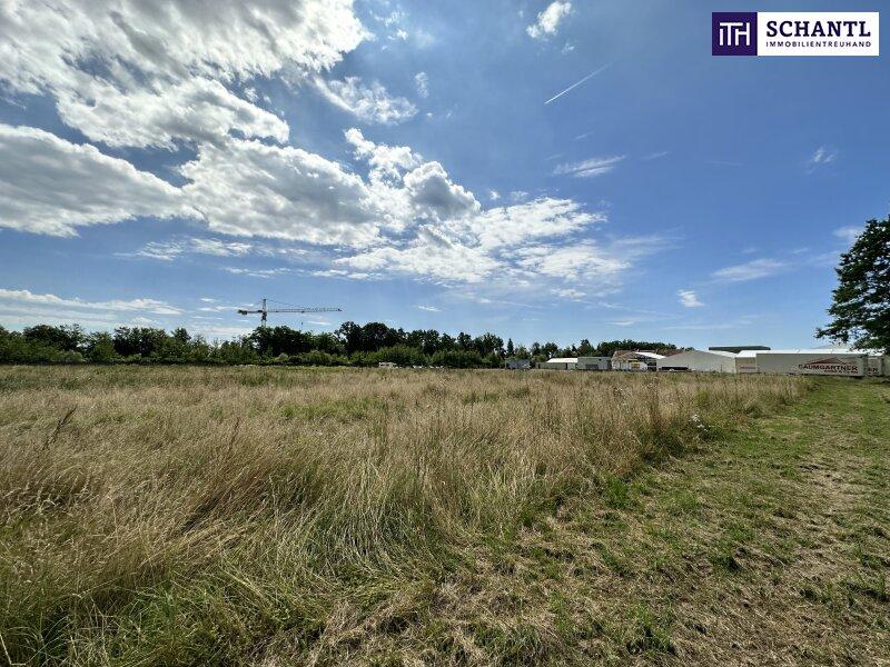 Terreno em Premstatten, Austria 18561 m² N.º 163280