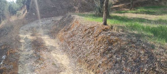 Hotel en Zakynthos, Greece No. 669 3