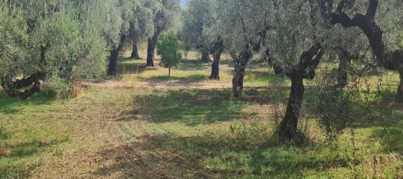 Hotel en Zakynthos, Greece No. 669 4