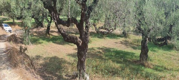 Hotel en Zakynthos, Greece No. 669 17