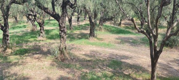 Hotel en Zakynthos, Greece No. 669 13