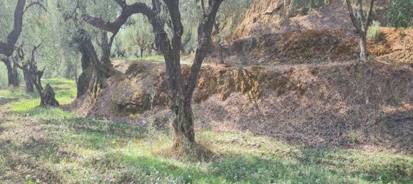 Hotel en Zakynthos, Greece No. 669 10