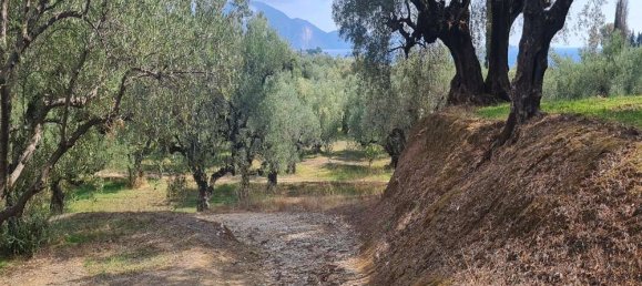 Hotel en Zakynthos, Greece No. 669 7