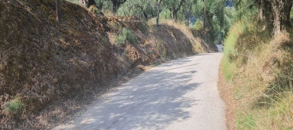 Hotel en Zakynthos, Greece No. 669 5