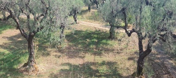 Hotel en Zakynthos, Greece No. 669 15